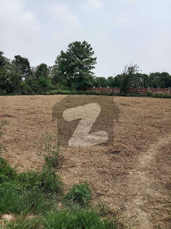 1 Acre Diary Farm Land For Rent Karbath, Lahore ID39661303