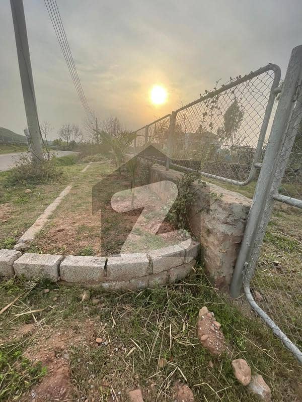 5 Kanal Superhot Luxury Farmhouse Land In Naval For Sale Naval Farms