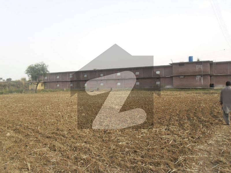 Full control Poultry farm for sale Rawat, Islamabad ID40224791