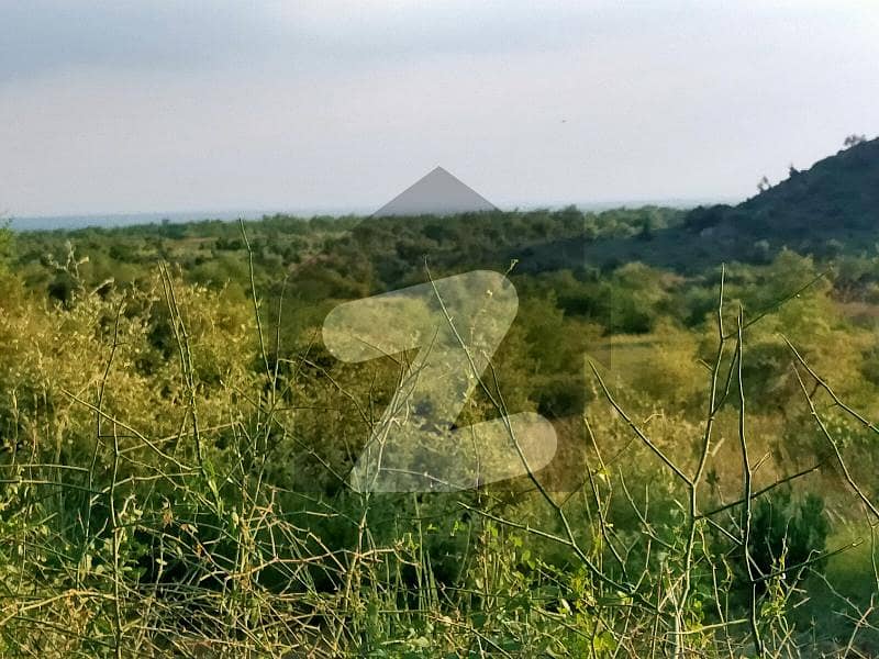 Land For Sale Along Attock Basal Road Near Thatta Village Attock Road