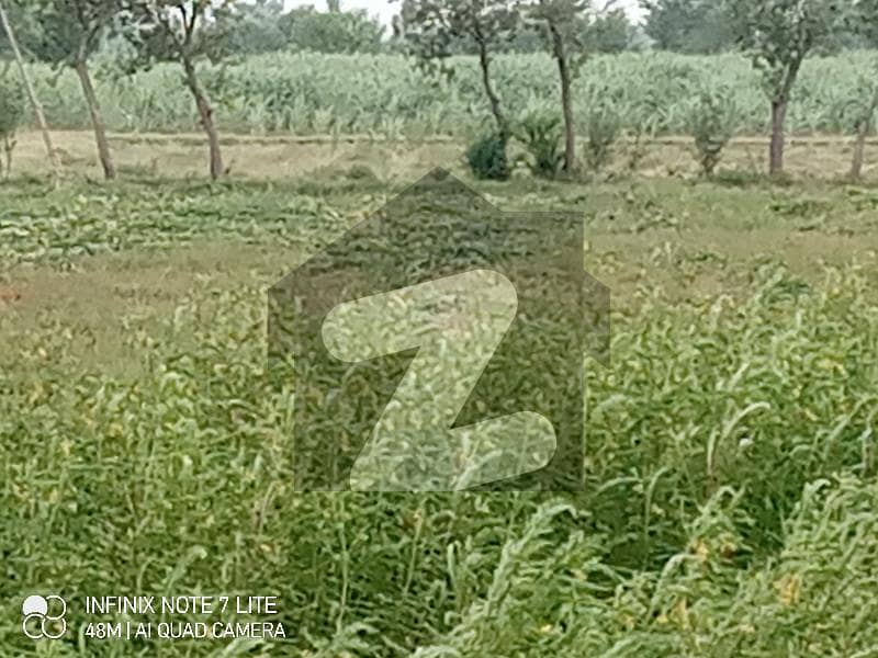 16 Kanal Agriculture Land For Sale Lahore Road, Sargodha ID41003410