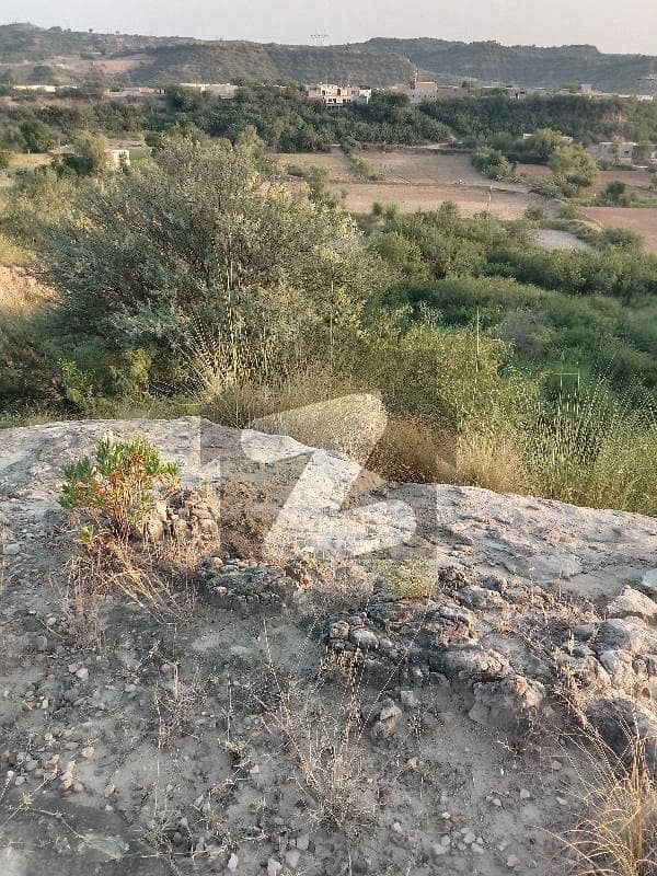 Agricultural Land For Sale Pindigheb, Attock ID40831278