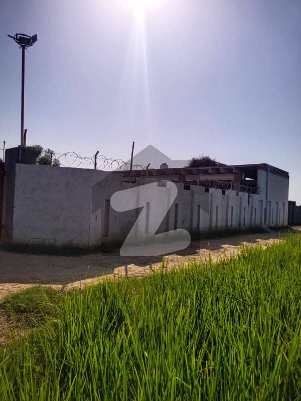 Dairy Farm Ready To Start 3 Kanal 15 Marla Just Rs. 190 Lac Dha Phase