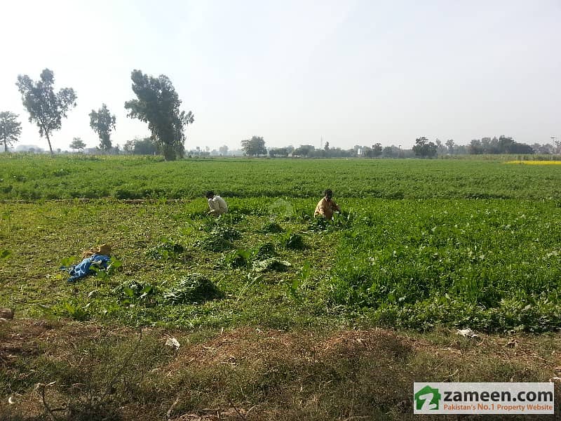 Big Piece Of Industrial Land For Sale Multan Road, Lahore ID2794768