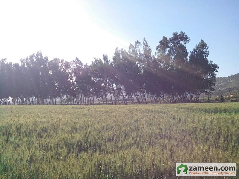 Agricultural Land For Sale Adiala Road, Rawalpindi ID7533019