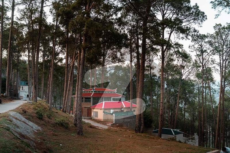 Find Your Preferred Farm House Land On Top Of The Mountain Murree