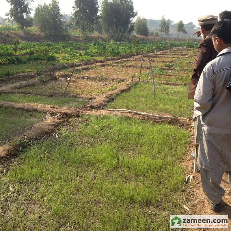 Farm Land For Sale Attock ID1041127