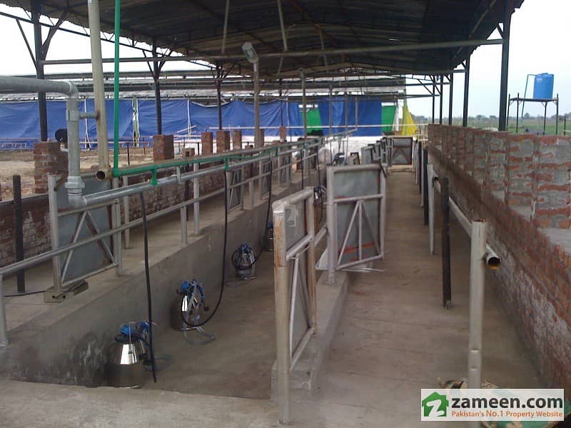 Dairy Farm For Sale Sambrial, Sialkot ID4666981