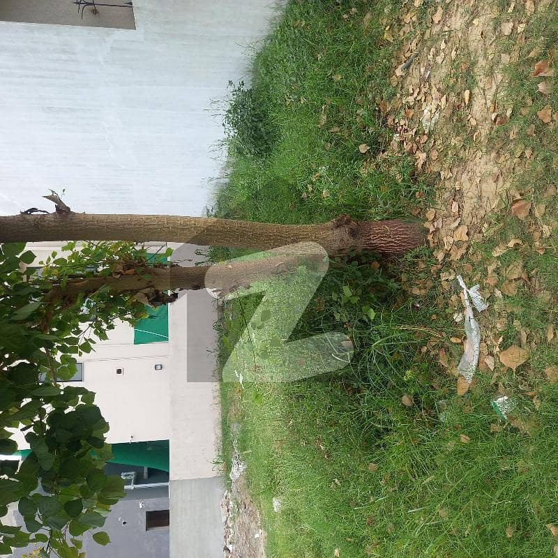 5 Marla Residential and possession plot 40 ft Road ki prime location B