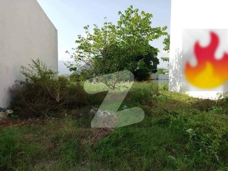 Plot For sale ( Bani Gala Islamabad) Bani Gala, Islamabad ID43402636