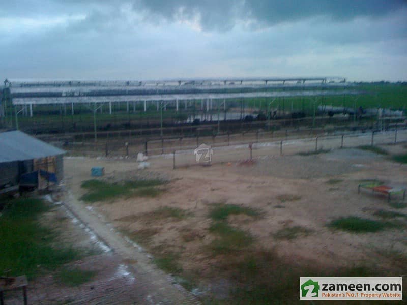 Dairy Farm For Sale Sambrial, Sialkot ID2255721