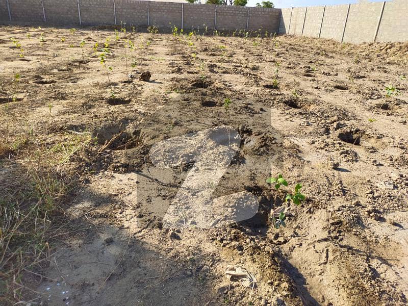 Poultry Farm, Dairy Farm, Picnic Farm House Land For Sale North Karachi, Karachi ID44528668