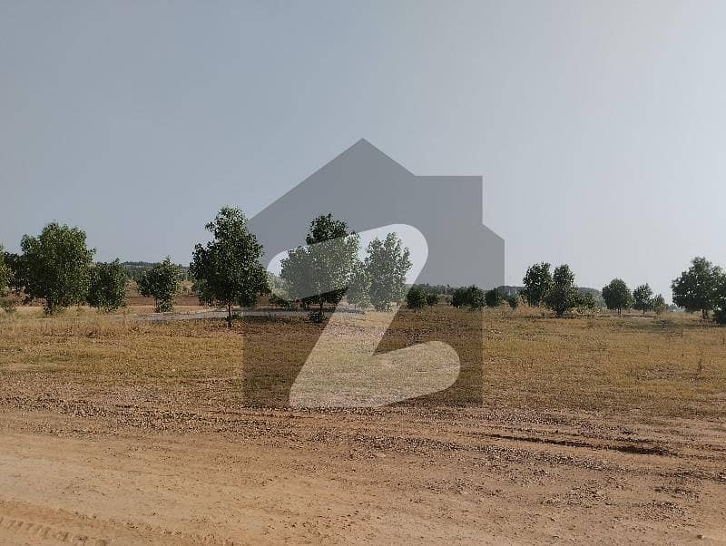 Dha Valley File For Sale Marigold Sector Block A, DHA Valley