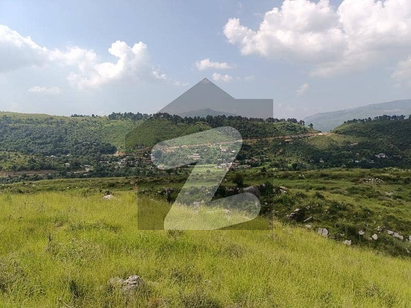 50 Kanal Agriculture Land For Sale In Haripur Pir Sohawa Pir Sohawa