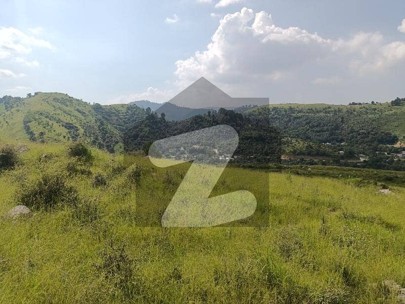 50 Kanal Agriculture Land For Sale In Haripur Pir Sohawa Pir Sohawa