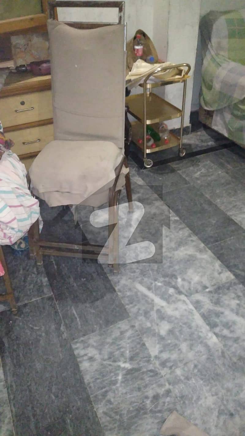 Single Storey House For Sale Park View City Tulip Overseas, Park View