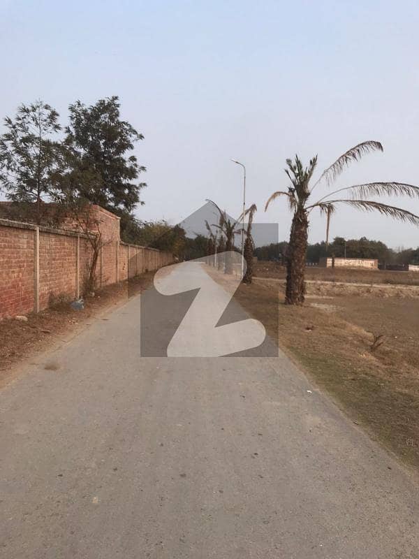 5 Kanal Farm House Land For Sale, Bedian Road Green Palms Farm Housing