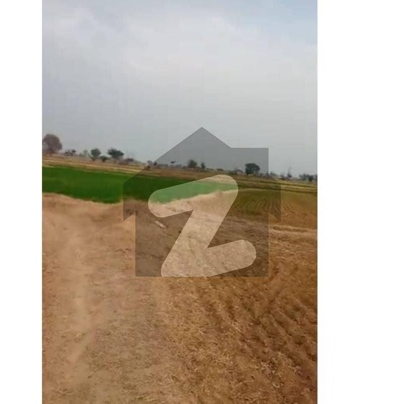 110 Kanal Agricultural Land For Sale Near To Jhari Kass Interchange