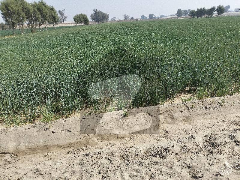 5 ACRES AGRI LAND NEAR MULTAN CITY Northern Bypass, Multan ID45838478
