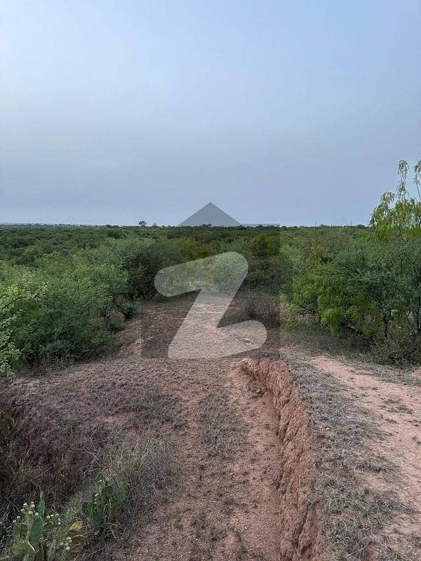 138 knal agriculture land for sale in chakwal Kallar Kahar Road