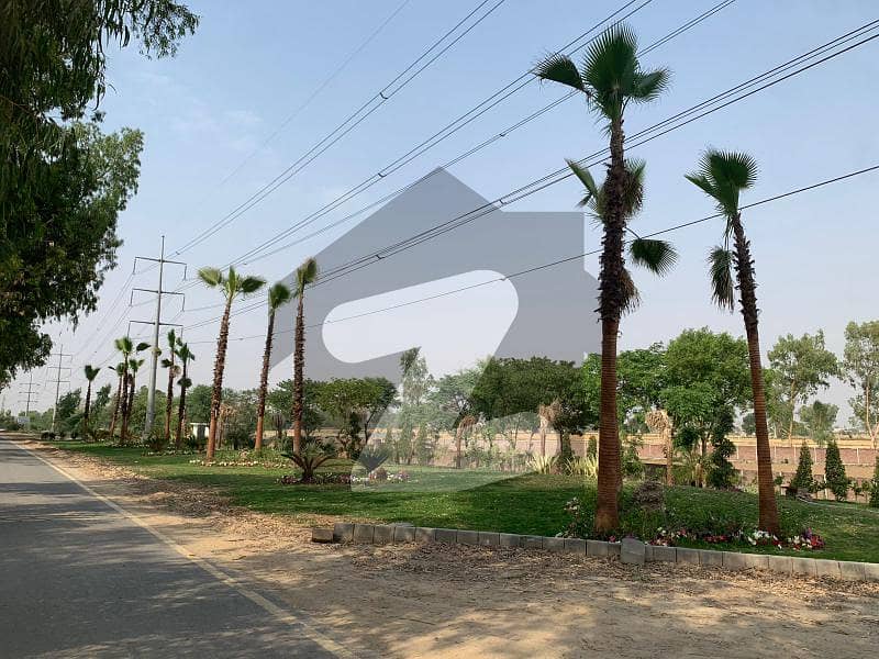 1 Kanal Farm House Land For Sale Main Barki Road Lahore Cantt Barki