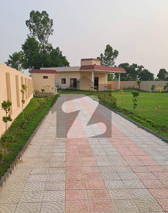 Luxury Farm House Of 5 Kanal With Dairy Farm For Sale Ferozepur Road