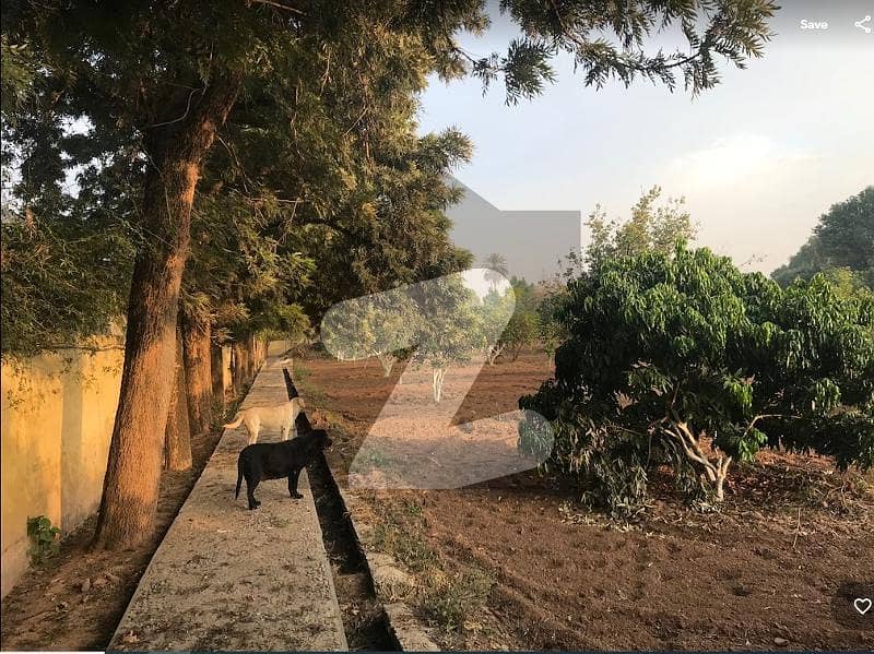 Farm House Available For Rent In Islamabad Chak Shahzad, Islamabad