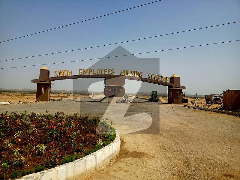SINDH EMPLOY HOUSING SCHEME PLOT FOR SALE Sindh Employees Housing