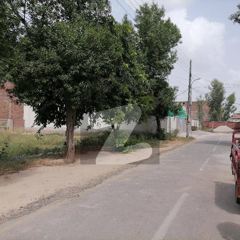 10 Marla Plot No 5 In Royal Palm City Sahiwal Royal Palm City Sahiwal