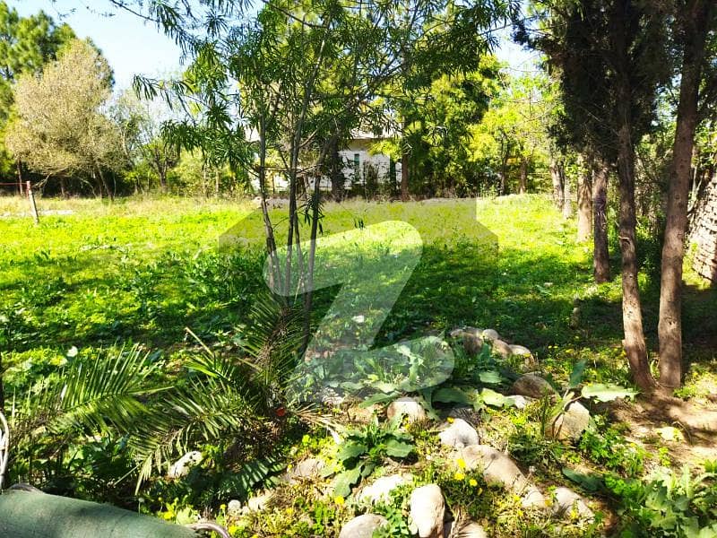 Main Double Road Orchard Scheme A Stunning Residential Plot Is Up For