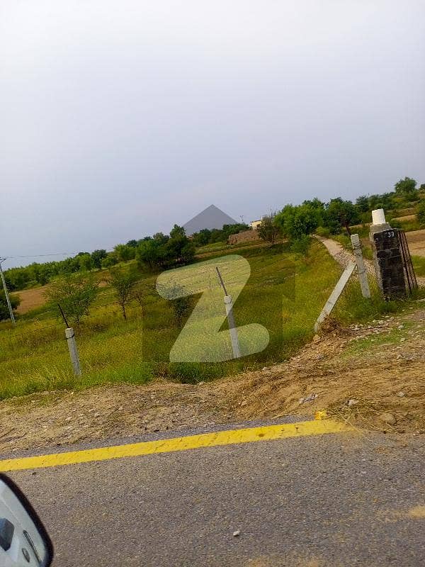 5 kanal agricultural land for sale in dullah Neela Dullah Interchange M