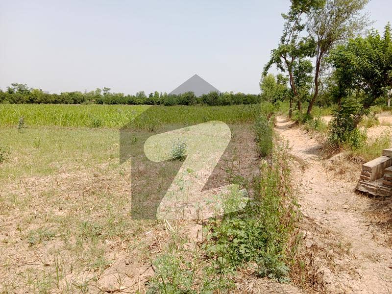 Agriculture Land Sale Urgent Jhang Road, Sargodha ID47581963