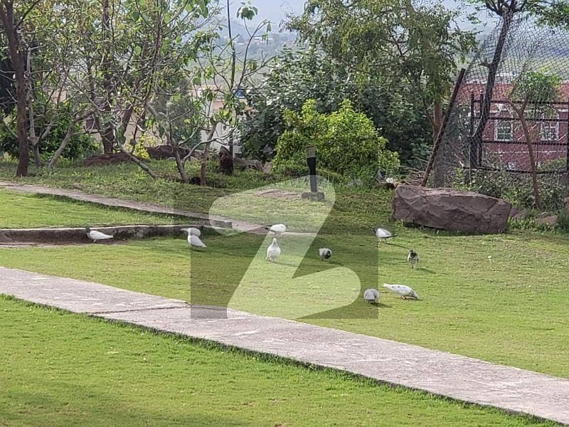 14 Kanal Farm House For Sale Bani Gala, Islamabad ID47633172