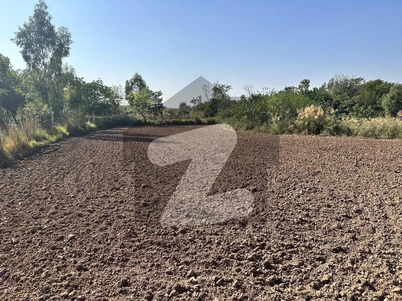Scenic 4 Kanal Farm House Land In Lush Green Nature Area For Sale Simly