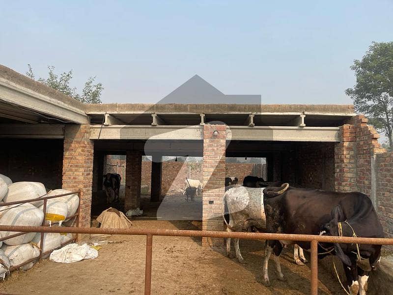 Dairy Farm House For Sale Bedian Road, Lahore ID48012060
