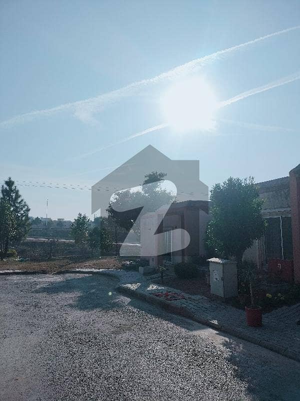 Lilly Block B Corner With Extra Land 5 Marla House For Sale Lilly