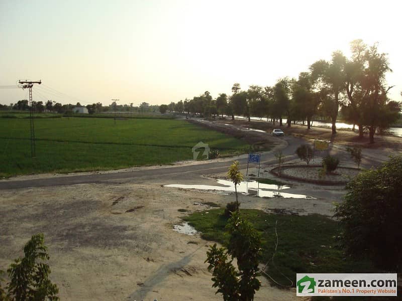 Agricultural Land For Sale In Ghazi Abad Chicha Watni Okan Wala Road