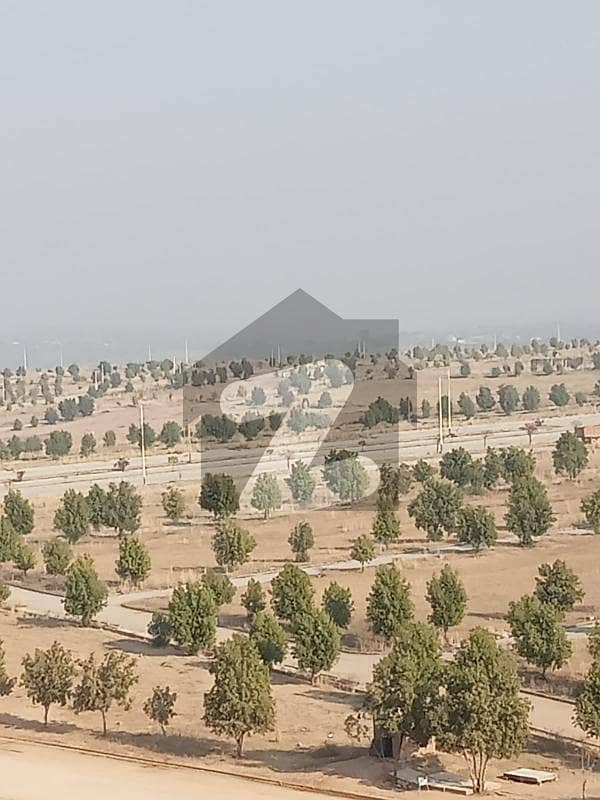 DHA valley Islamabad Rose 8 Marla fest ballot possession latte