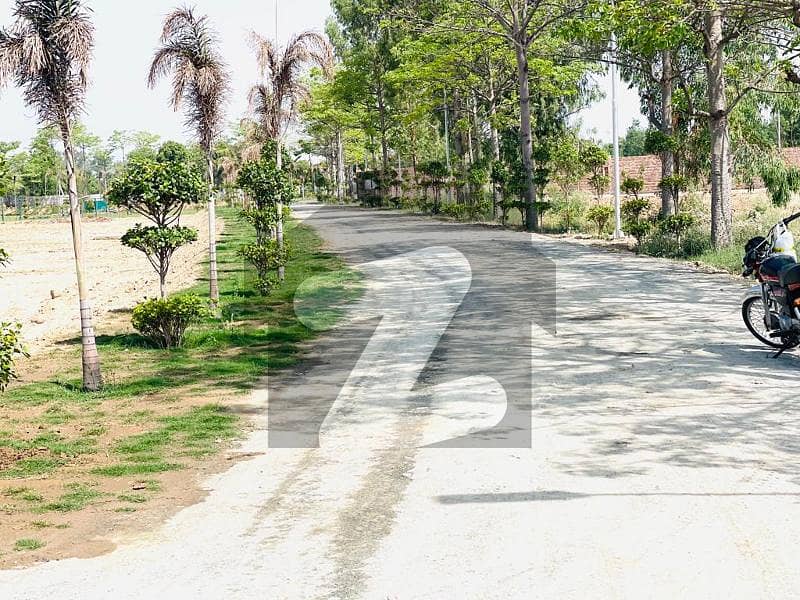 Ultra Luxury Modern Design Farm House Society Land For Sale On Main