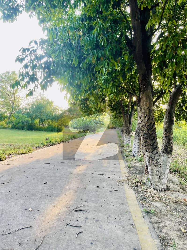 8 Kanal Farm House For Sale On Bedian Road Lahore Bedian Road, Lahore