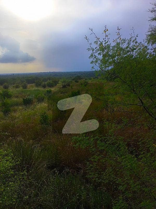 172 knal agriculture land for sale nela dullah Neela Dullah Interchange