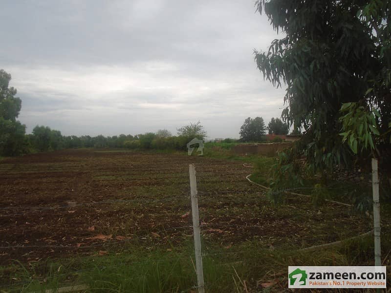 Haripur Agriculture Land For Sale Others, Haripur ID448047