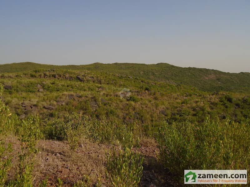 Haripur Agriculture Land For Sale Others, Haripur ID448047