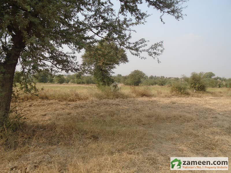 Beautiful Fertile Land for Sale Near Khubaib Foundation Panian Haripur