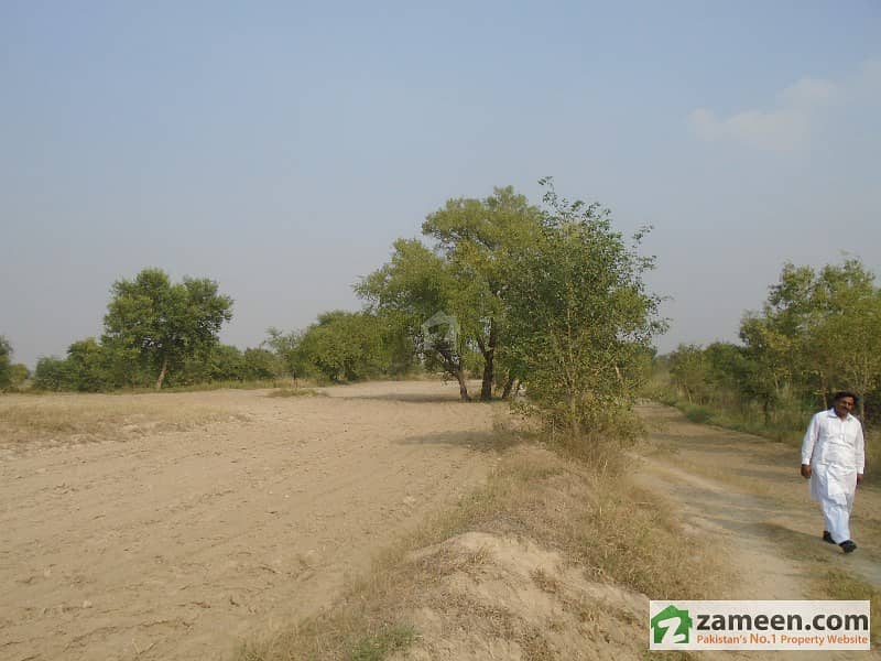 Beautiful Fertile Land for Sale Near Khubaib Foundation Panian Haripur