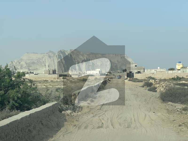Open Land for Sale in Mouza Dhore Ghatti, Gwadar Mouza Dhore Ghatti