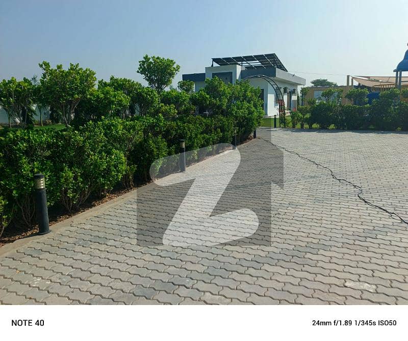 Book this Luxury Farm House of 4 Kanal for Event Celebration Barki Road, Cantt, Lahore