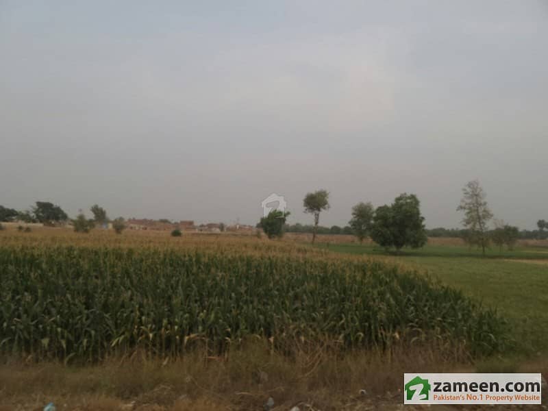Agricultural Land Is Available For Rent Faisalabad Road, Okara