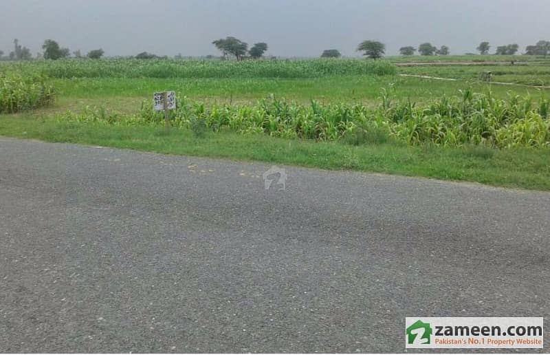 A beautifull agriculture land available for sale in chichawatni tehsil