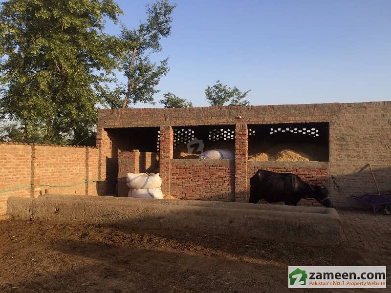Farm House With 6 Acres Of Agricultural Land For Sale Multan ID3023273